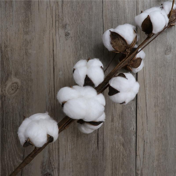 Cotton Stems - 3 pieces/pack - 22" Tall