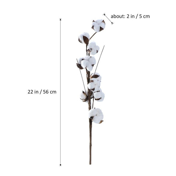 Cotton Stems - 3 pieces/pack - 22" Tall