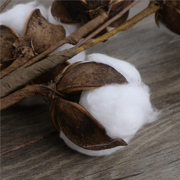 Cotton Stems - 3 pieces/pack - 22" Tall