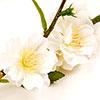 White Silk Cherry Blossom - 39"