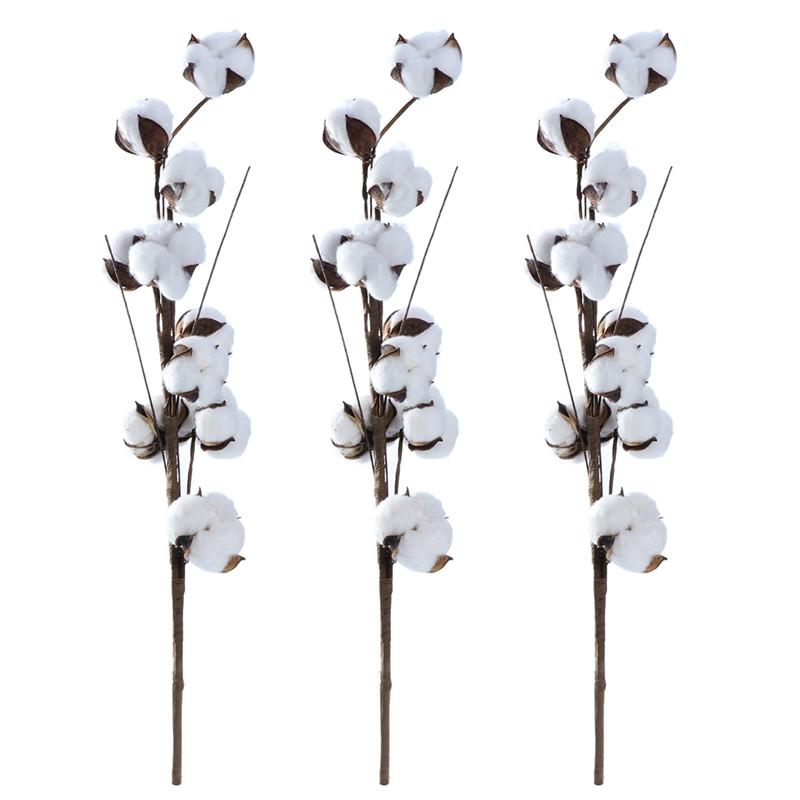 Cotton Stems - 3 pieces/pack - 22" Tall