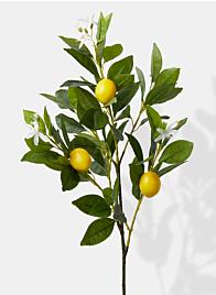 Lemon Tree Pick - 30"